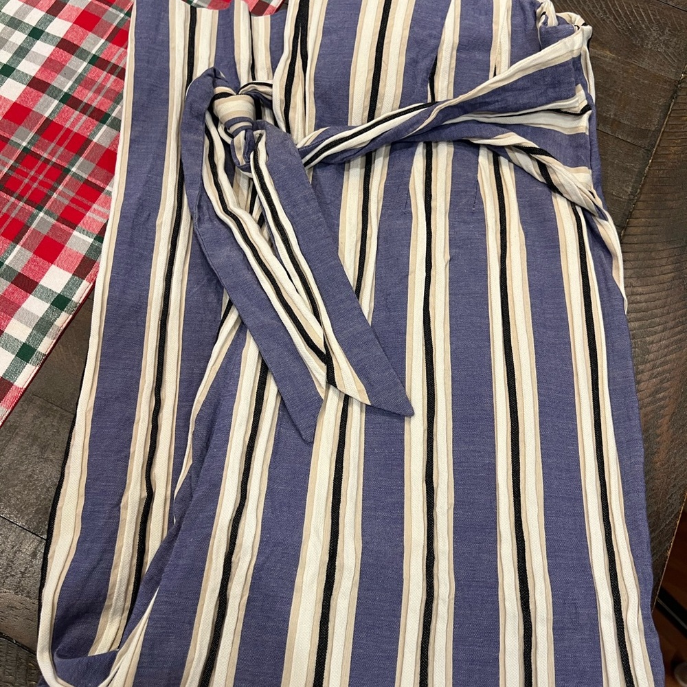 Express Striped Blue and White Crop Pants